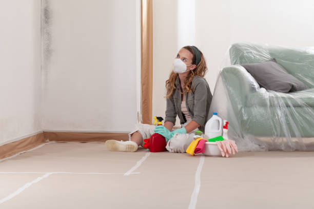 Reliable Mold Testing contractor in Sparta, MI by WQB Mold Removal